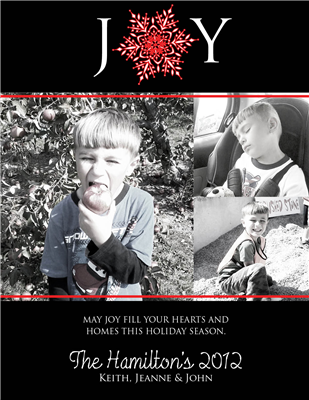 Joy Snowflake A2 Flat